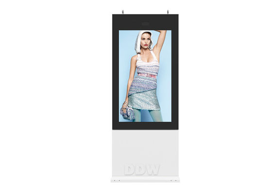 55 "IP65 1500cd LCD Periklanan Digital Signage DDW-AD5501SNO